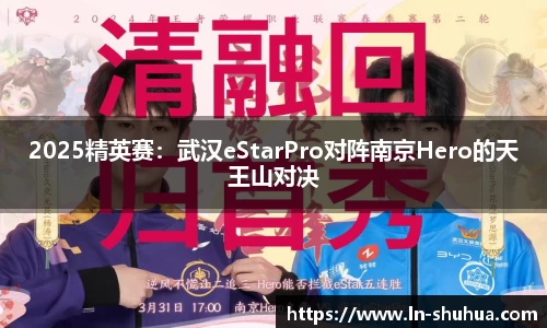 球速体育官网