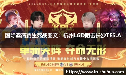 球速体育官网