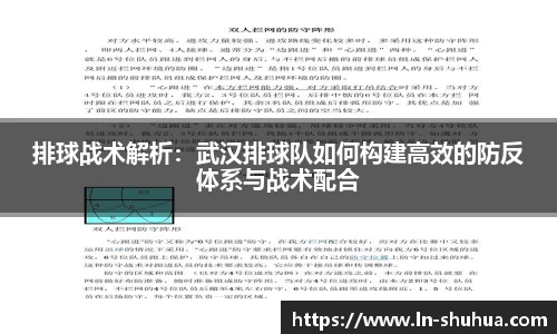 球速体育官网