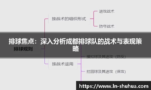 球速体育