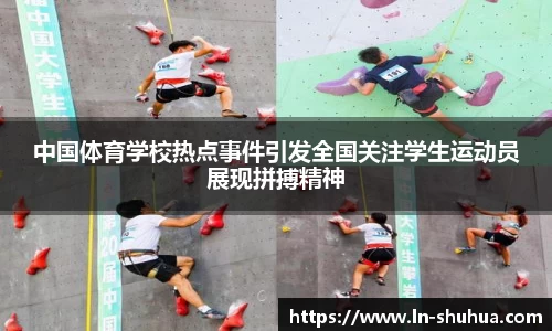 球速体育