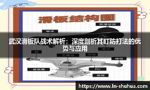 球速体育