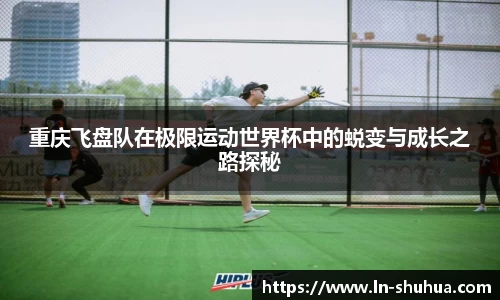 球速体育官方网站