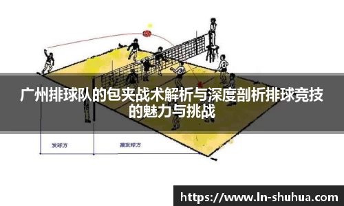 球速体育