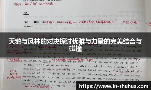 球速体育