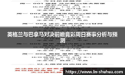 zoty中欧体育